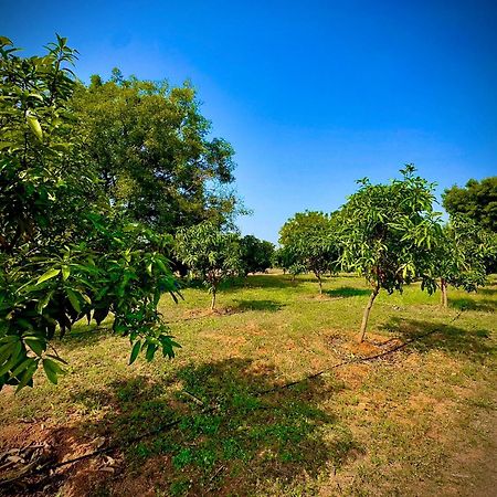 Mangohut Farmhouse Pool Villa Hyderabad Exterior foto