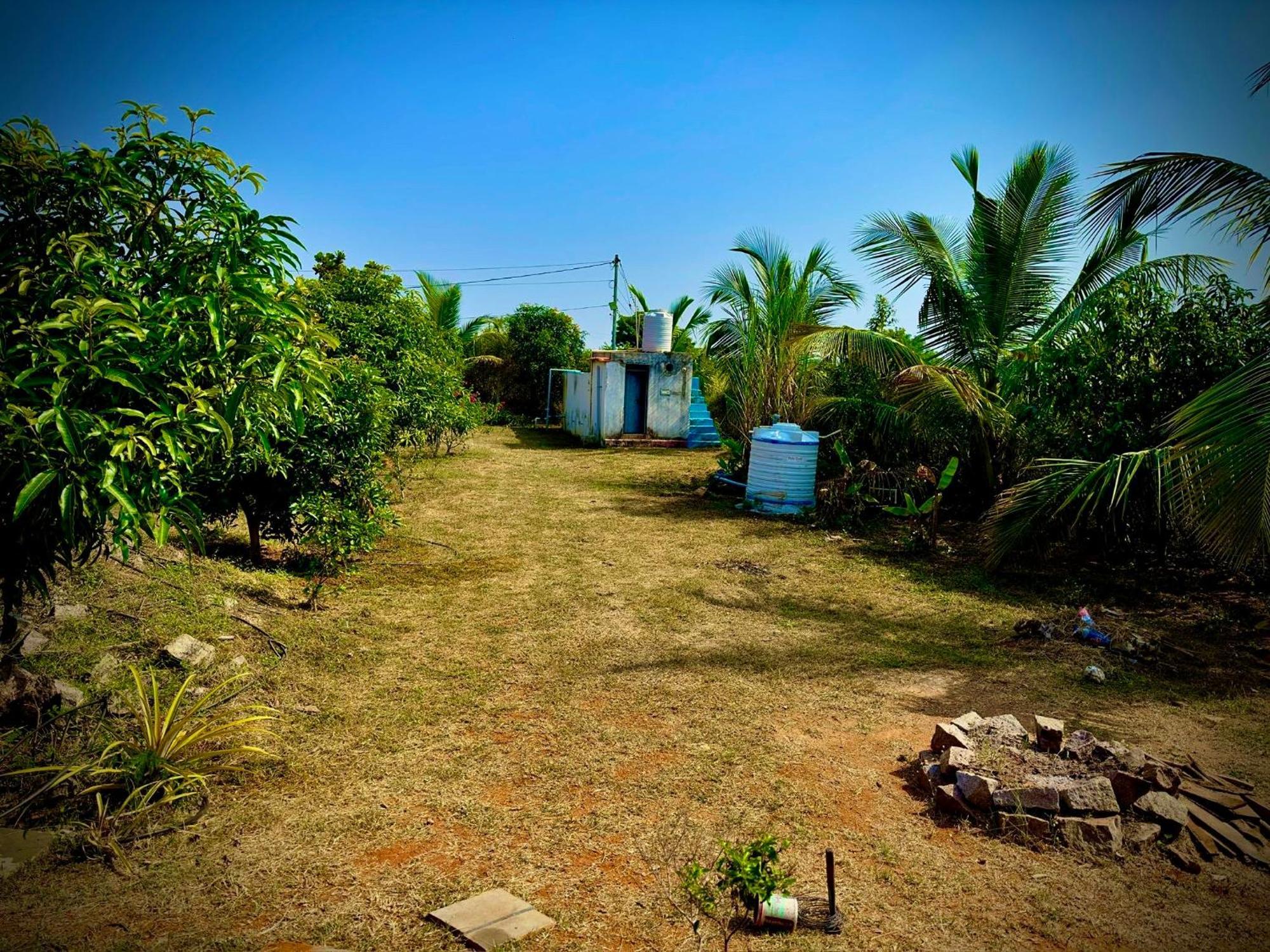 Mangohut Farmhouse Pool Villa Hyderabad Exterior foto