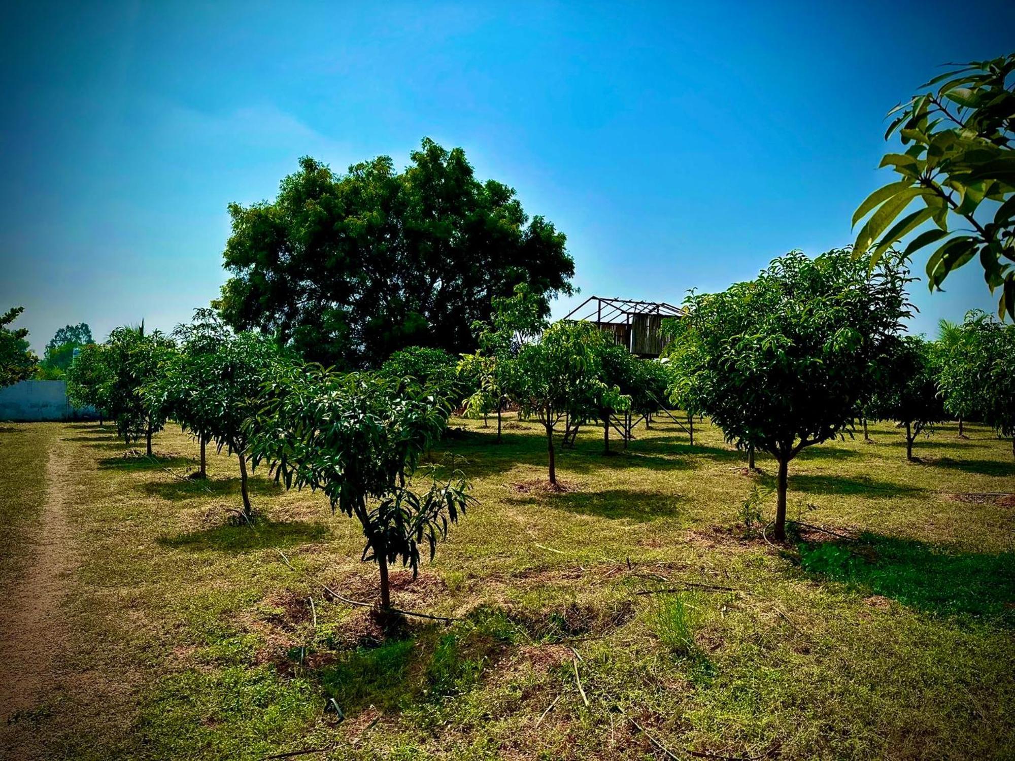Mangohut Farmhouse Pool Villa Hyderabad Exterior foto